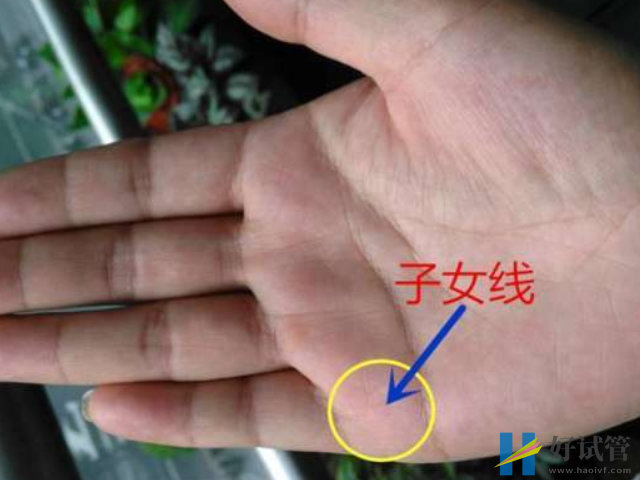 子女線垂直于婚姻線
