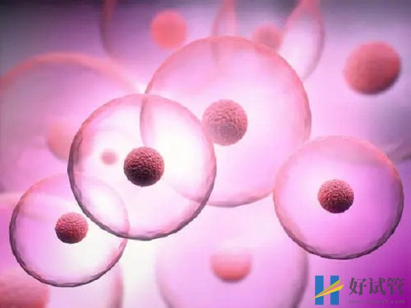 不孕能在海南省婦幼保健院做試管