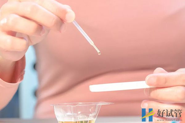 凍囊胚移植3-5天會開始著床