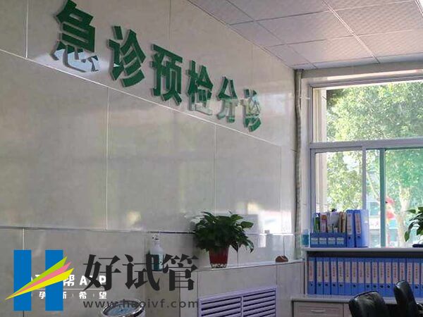 孝感權(quán)威試管嬰兒醫(yī)院推薦