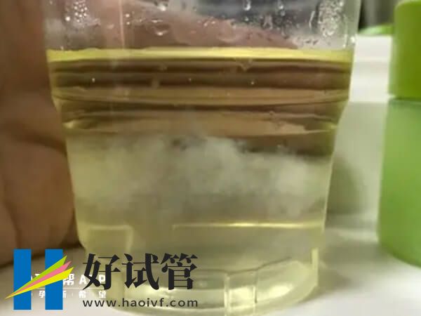 酒精測男女可不可信
