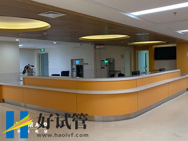 試管成功率取決于什么