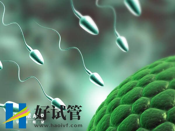 做試管嬰兒對(duì)精子的要求