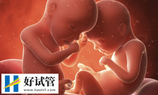 子宮內(nèi)膜薄可能導(dǎo)致胚胎著床困難