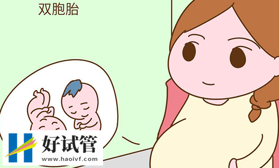 試管實現(xiàn)雙生子是一項復(fù)雜的過程