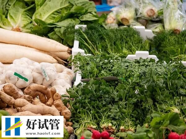 試管移植前吃什么成功率高