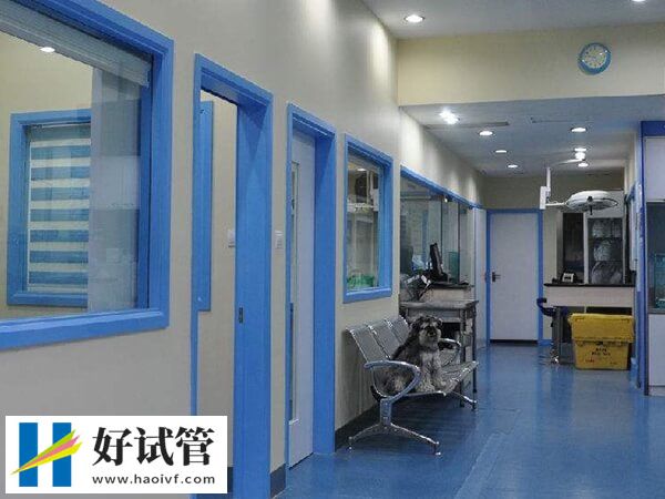 做試管嬰兒要注意什么