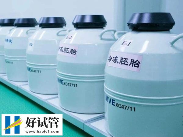周口試管生龍鳳胎貴不貴
