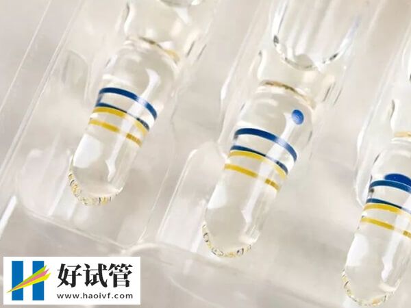 廈門試管哪個(gè)醫(yī)院成功率高