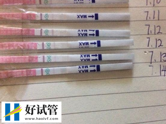10個(gè)小妙招提高女人懷孕幾率(圖2)