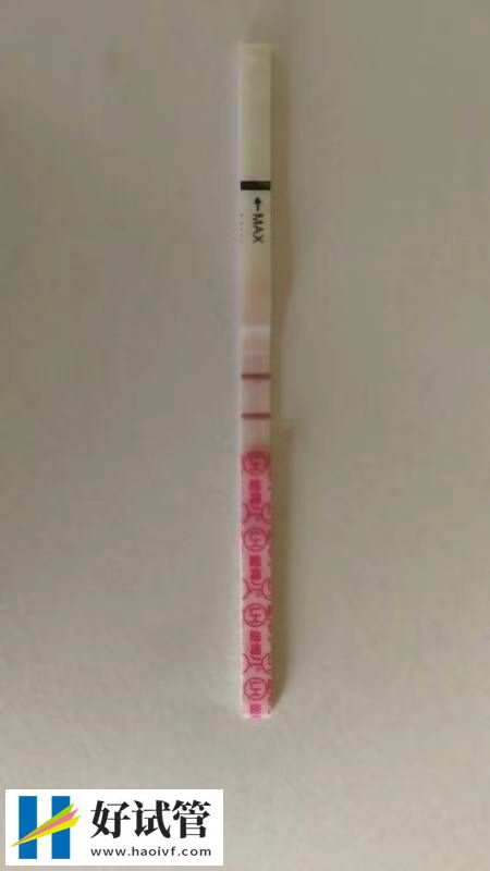 100%生男孩秘方 生男生女的說法都靠譜嗎(圖1) 100%生男孩秘方 生男生女的說法都靠譜嗎(圖1)
