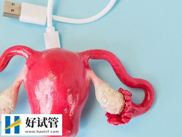 內分泌對子宮內膜的影響