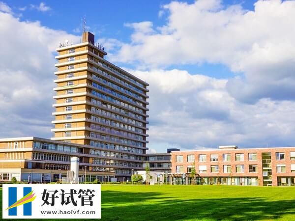  洛杉磯生殖醫學中心試管成功率