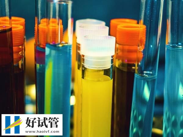 美國哪家試管嬰兒成功率高