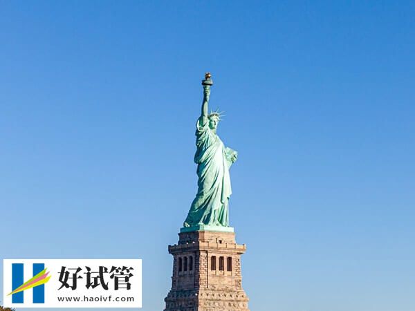 美國試管嬰兒最好醫院