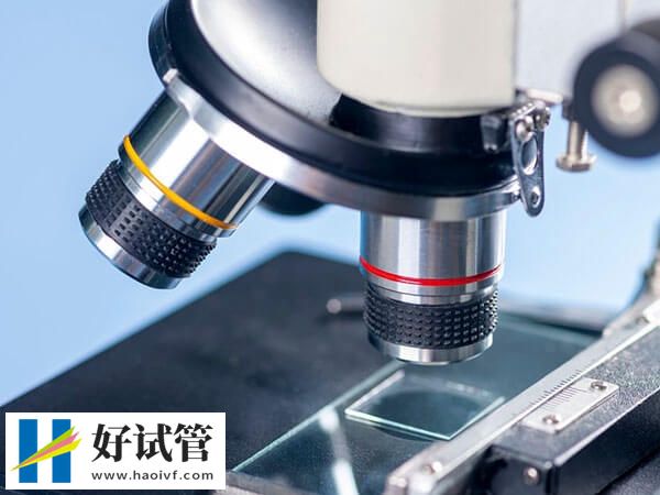 女同做試管嬰兒一般分為幾步