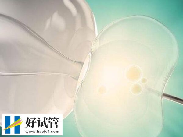 女同試管嬰兒需要做那些工作