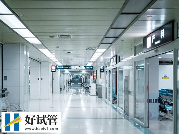 杭州權(quán)威試管醫(yī)院有哪些