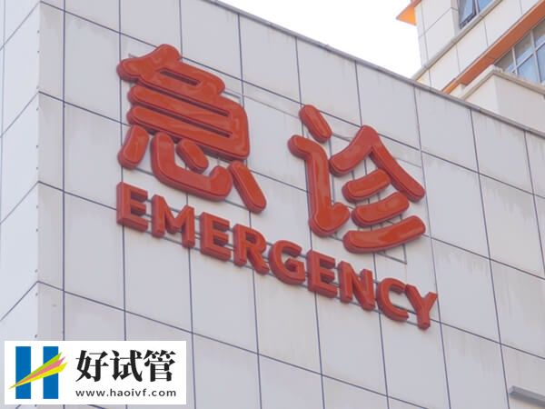 決定試管成功率的因素