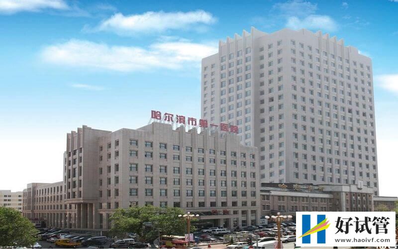 哈爾濱市一醫(yī)院