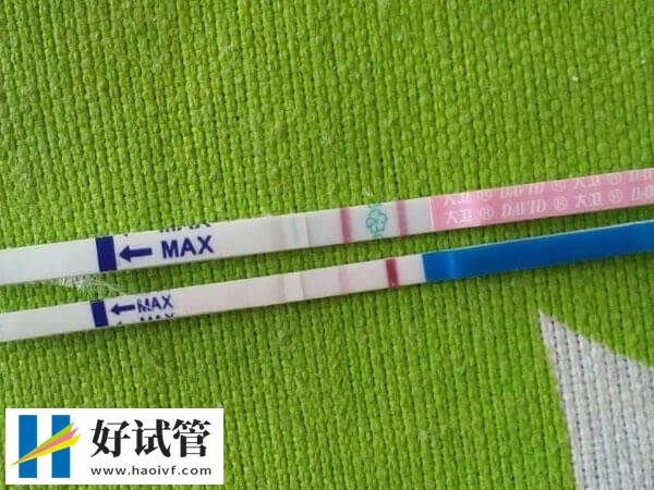 中隊長也叫雙杠紅