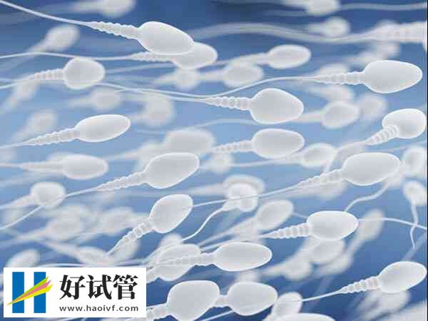 精液中白細胞增多有多種原因