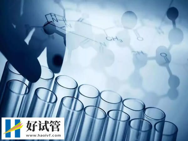 深圳做試管的成功率