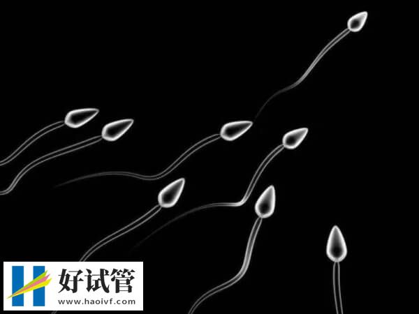 精子庫申請供精需要有適應癥