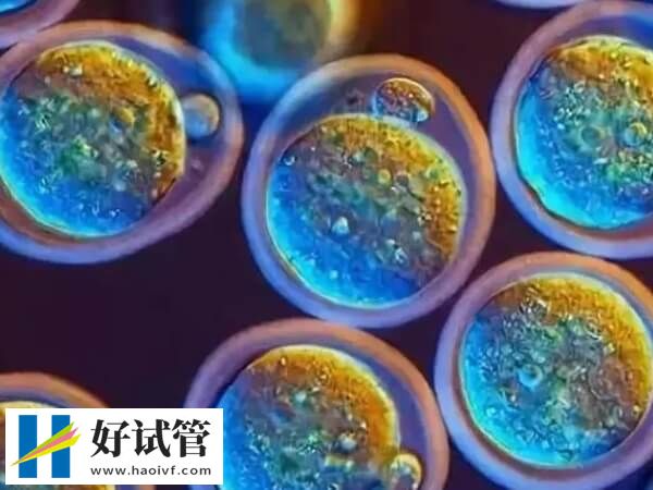 amh0.25試管嬰兒成功率低