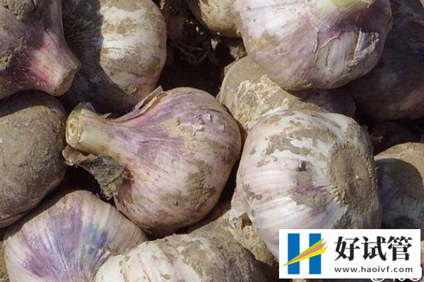 取卵后有注意事項(xiàng)