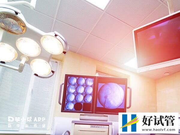 試管嬰兒生雙胞胎風險大