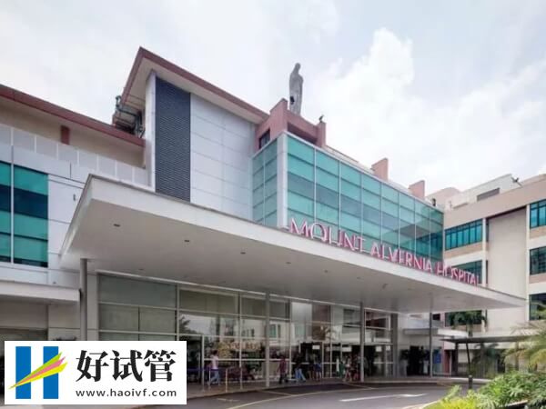 新加坡醫生試管技術怎么樣