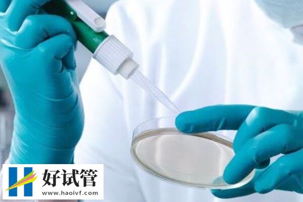 徐州市婦保院試管成功率高