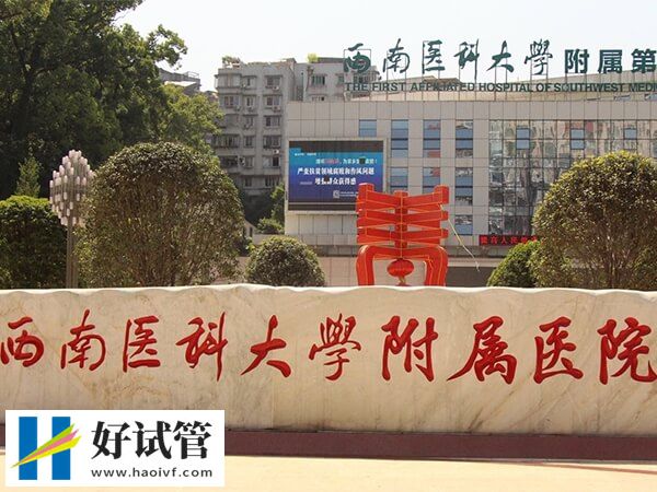 瀘州供卵試管醫(yī)院多不多