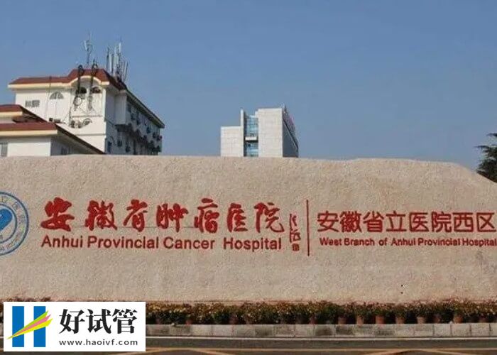 安徽省立醫院供精三代試管成功率