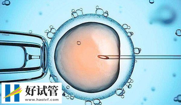 秦皇島婦幼保健院能做試管嬰兒