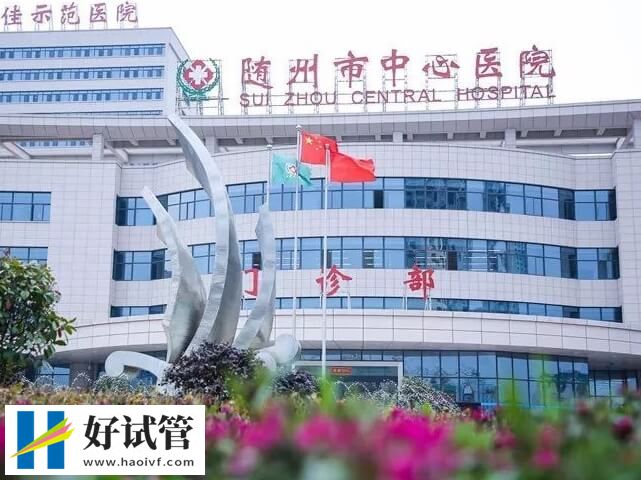 隨州市中心醫(yī)院試管成功率多少