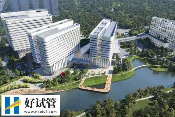 杭州試管成功率多少