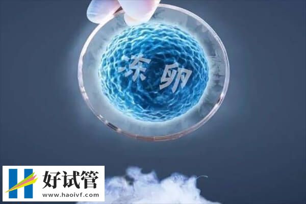 促排卵是凍卵的流程之一