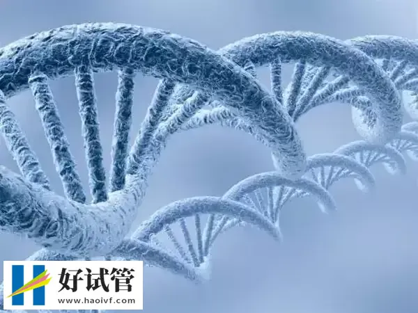 銀川三代試管成功率達(dá)60%