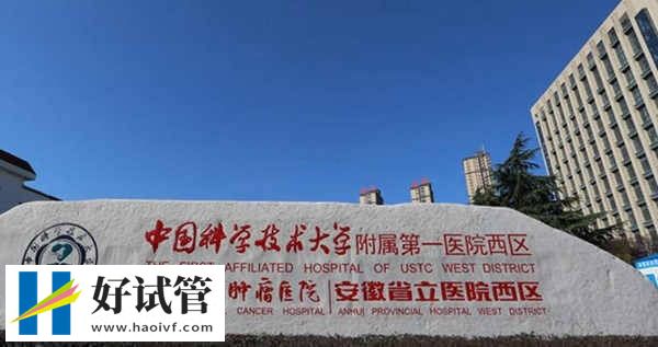 合肥三代試管成功率多少