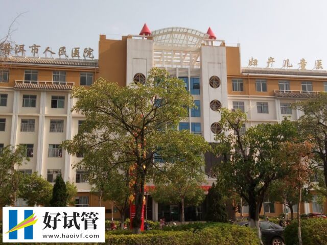 普洱一代試管多少錢