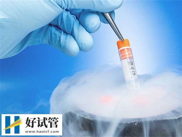 秦皇島凍卵促排費約5000-10000元