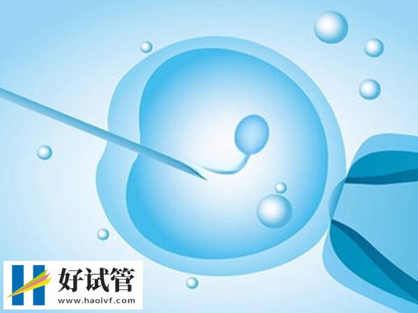張家口沒有做試管嬰兒的醫院