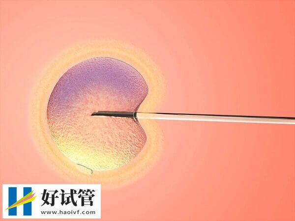 大連二代試管胚胎移植費約5-7千元