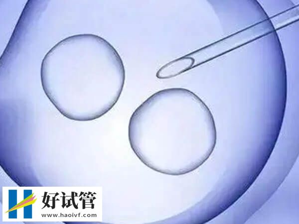 大連未婚女性不能做試管嬰兒