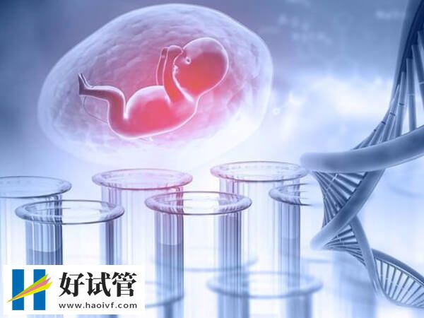 大連做試管嬰兒選馬瑤醫生好