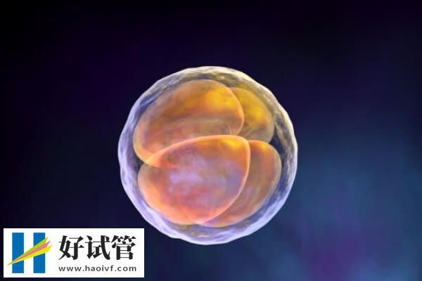 揚州各醫生試管嬰兒成功率