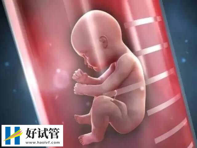 內分泌正常是徐州三代試管的條件之一