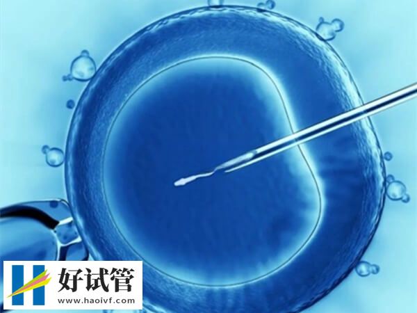 徐州試管嬰兒成功率約50%-60%
